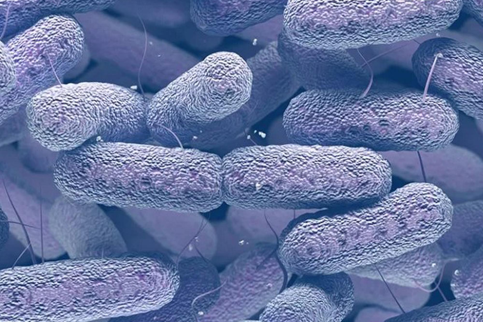 Особенности распространения пневмонии