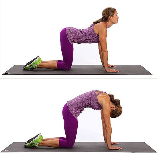 девушка выполняет упражнение кошка