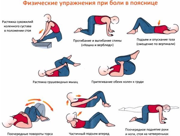 упражнения при боли в пояснице
